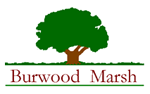 Burwood Marsh : Letting agents in  Greater London Lewisham