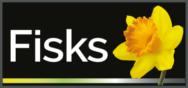 Fisks Canvey Island : Letting agents in Canvey Island Essex