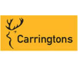 Carringtons Property : Letting agents in Esher Surrey